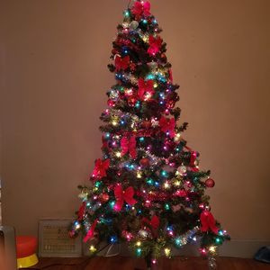 Meet your Posher, Rashida